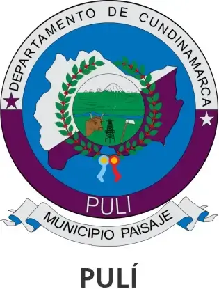 PULÍ