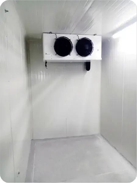 CUARTO FRÍO VÍSCERAS ROJAS Y BLANCAS